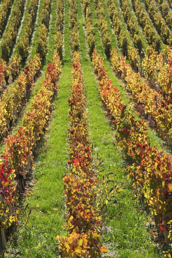 Chateau La Violette Les Marches Exterior foto